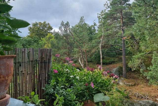 Soldatgatan 18C, Vaxholm - bild 5