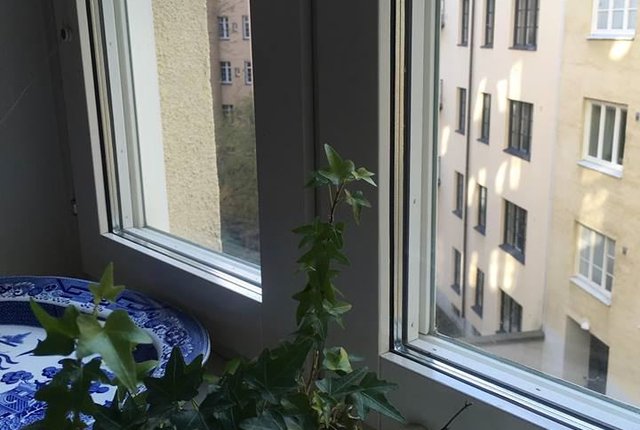 Erik Dahlbergsgatan 60, Göteborg - bild 5