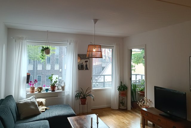 Mejerivägen 7, Stockholm - bild 4