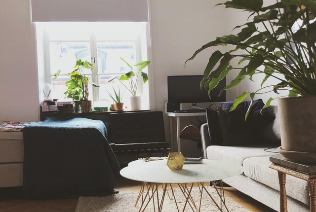 Roslagsgatan 38, Stockholm - bild 5