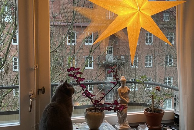 Östra Stallmästaregatan 4, Malmö - bild 6