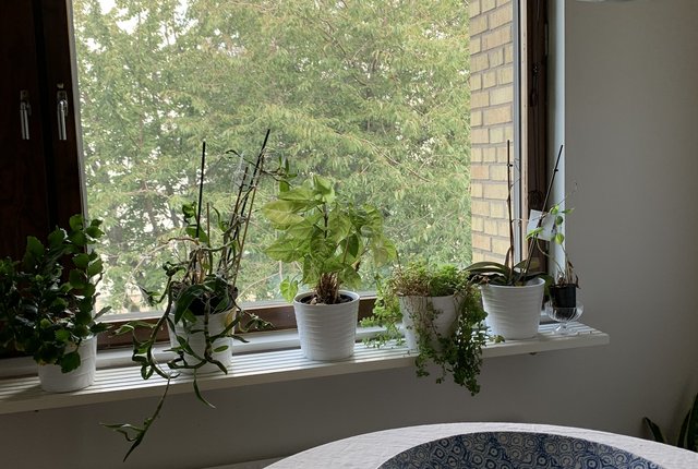 Kvillegatan 12B, Göteborg - bild 3