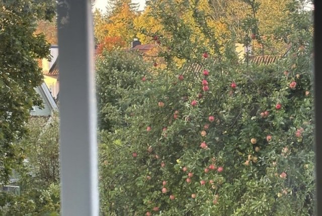 Gamla Tyresövägen 312, Enskededalen - bild 3