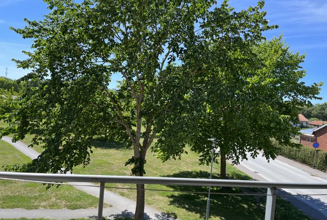 Mästergatan 2, Visby - bild 1