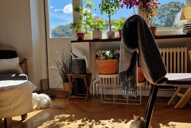 Östra Stallmästaregatan 14, Malmö - bild 2