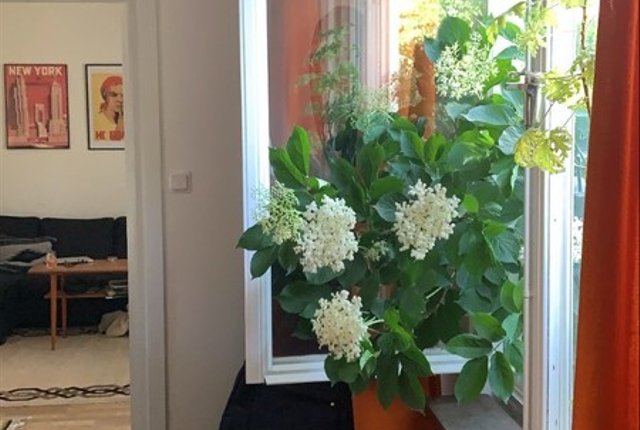 Årstavägen 106, Årsta - bild 1