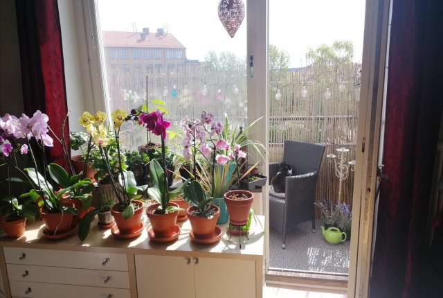 Svandammsvägen 1A, Hägersten - bild 5
