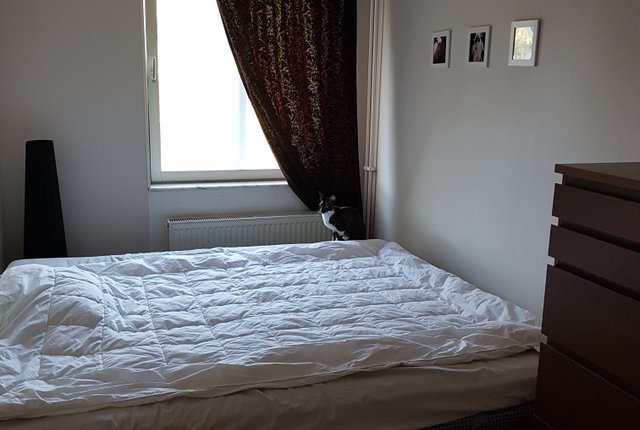 Otto Myrbergs väg 12, Uppsala - bild 2