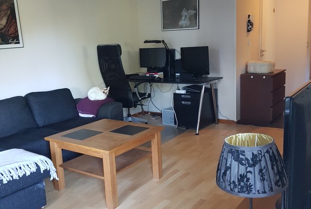 Otto Myrbergs väg 12, Uppsala - bild 4