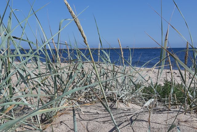 VÄSTERPORTSTORG 1F, Ystad - bild 2