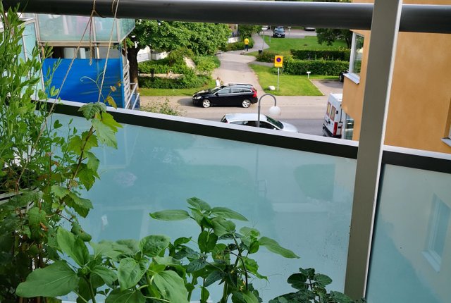 Gröna gatan 19B, Uppsala - bild 8
