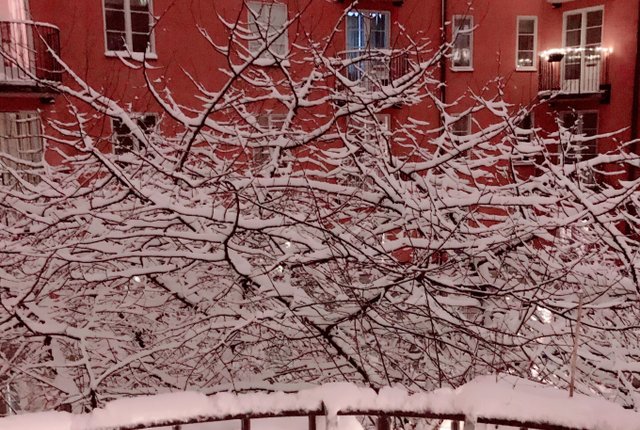 Ångströmsgatan 3, Stockholm - bild 7