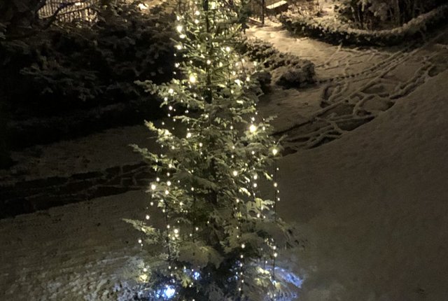 Ångströmsgatan 3, Stockholm - bild 3
