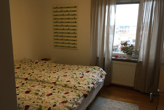 Norra Skolgatan 20, Malmö - bild 3