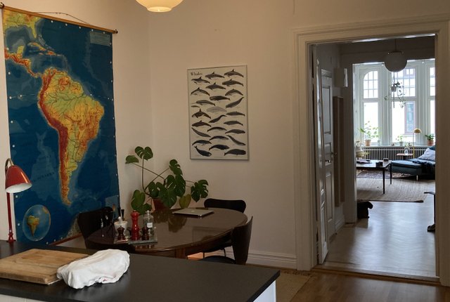 Sturegatan 16A, Malmö - bild 2