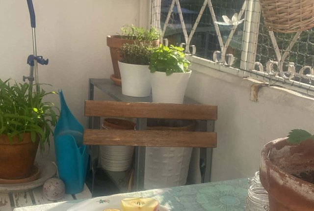 Mariedalsvägen 48A, Malmö - bild 4