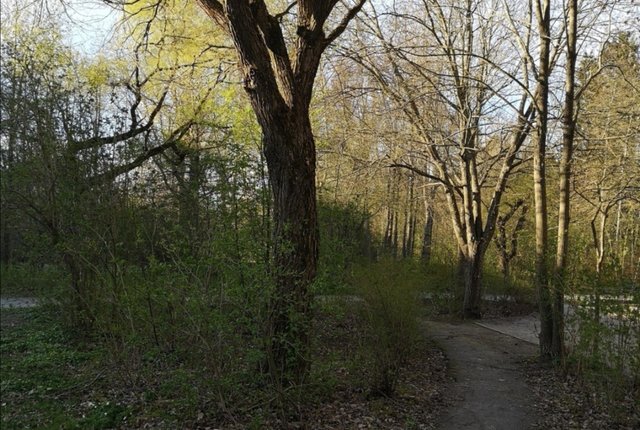 Oxelvägen 25, Älta - bild 1