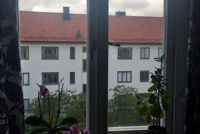 Kungsladugårdsgatan 18, Göteborg - bild 2