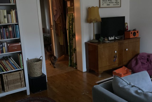 Hisingsgatan 19, Göteborg - bild 5
