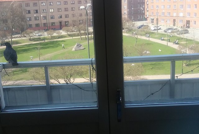 Nobelvägen 77, Malmö - bild 2