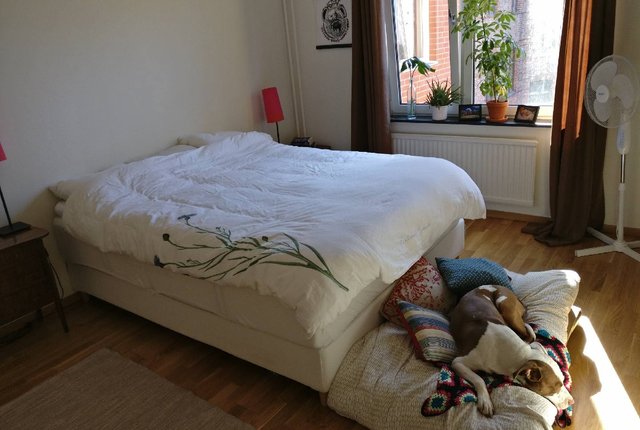 Claesgatan 15, Malmö - bild 1
