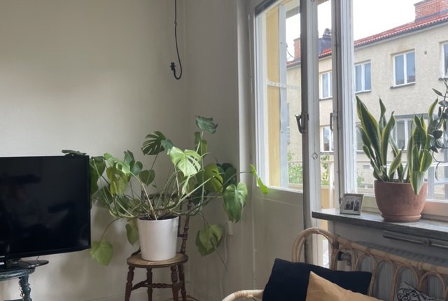 Hallebergsvägen 30, Bromma - bild 7