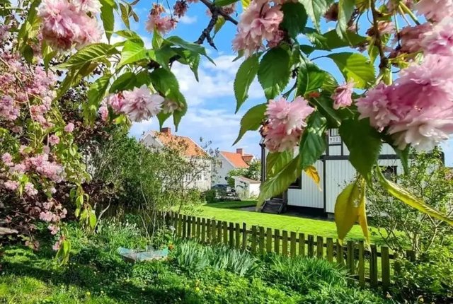 Ärenprisgatan 4C, Göteborg - bild 8