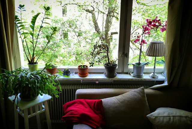 Petrejusvägen 55, Johanneshov - bild 6