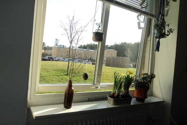 Roliasgatan 21B, Jönköping - bild 5