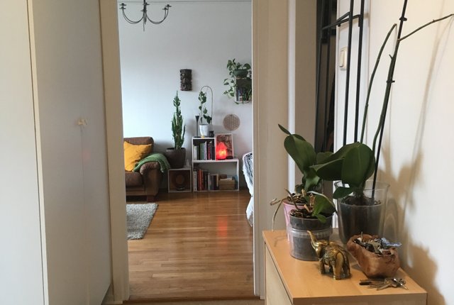 Sprängkullsgatan 10B, Göteborg - bild 6