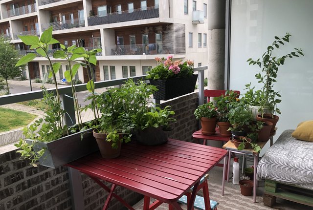 Fregattgatan 28, Malmö - bild 2