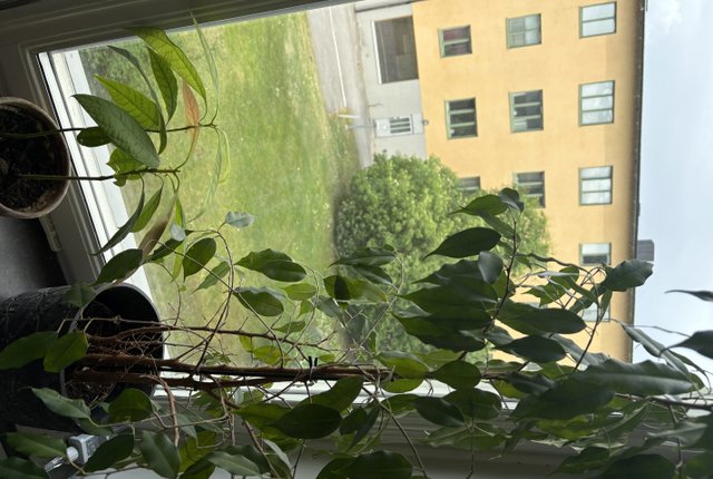 Petrejusvägen 31, Johanneshov - bild 2