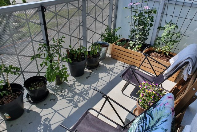 Gamla Enköpingsvägen 126, Sundbyberg - bild 5