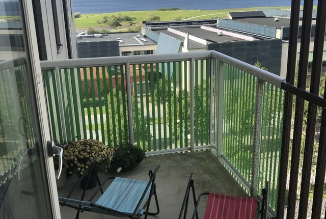 , Malmö - bild 8