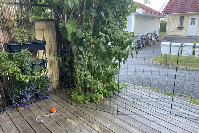 Ängsgatan 3E, Kungsbacka - bild 5