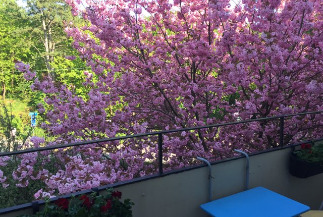 Bangatan 67, Göteborg - bild 1