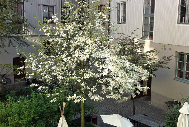 , Göteborg - bild 7