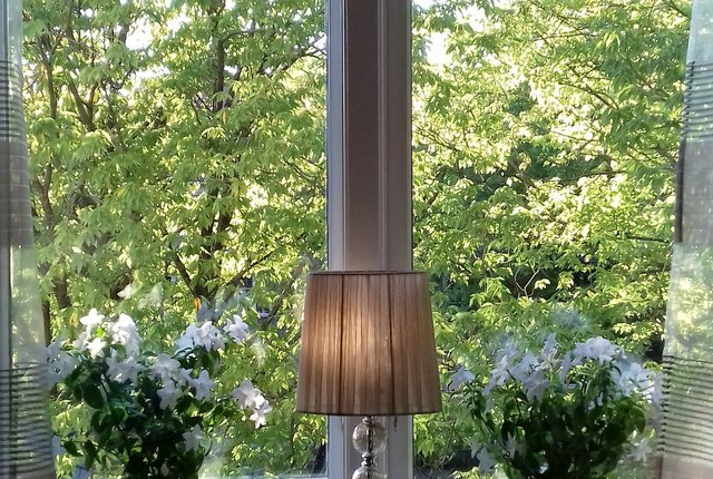 , Göteborg - bild 4
