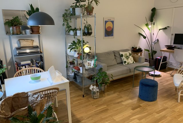 Solbjerstorget 3, Lund - bild 6