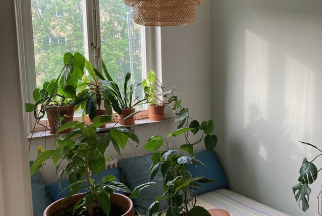 Hökmossevägen 37, Hägersten - bild 7