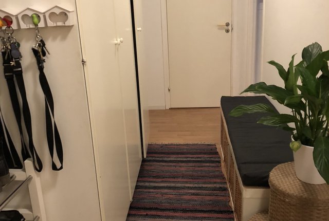 Brännkyrkagatan 98, Stockholm - bild 5