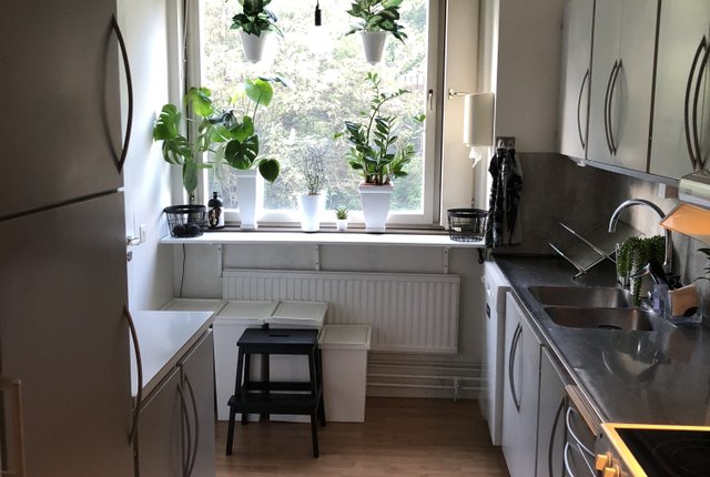Brännkyrkagatan 98, Stockholm - bild 1
