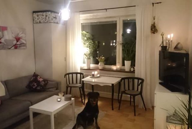 Nils Forsbergsgatan 9, Malmö - bild 2