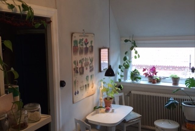 Kungsgatan 36B, Malmö - bild 1