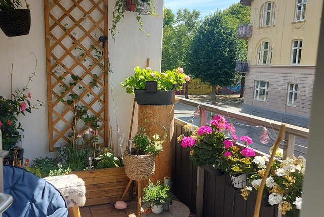 Möllevångsgatan 46, Malmö - bild 3