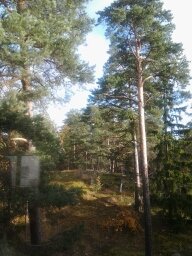 Sköntorpsvägen 90, Årsta - bild 4