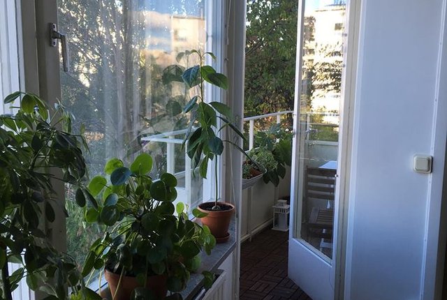 Rindögatan 52, Stockholm - bild 3