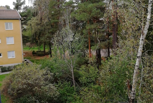 , Enskede - bild 2