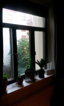 Sveagatan 18, Göteborg - bild 3
