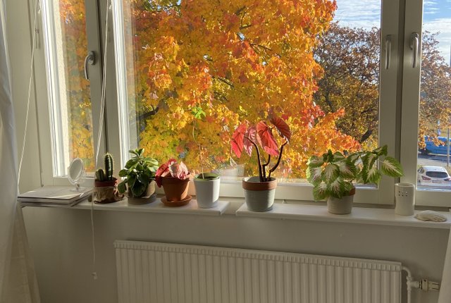 Slånbärsvägen 14, Danderyd - bild 7